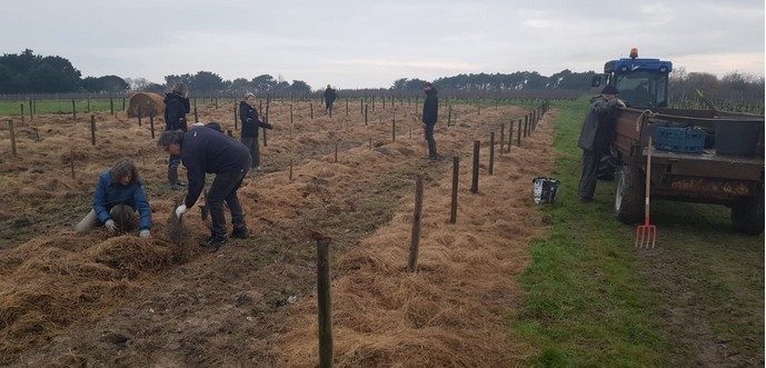 Plantation d'arbres au domaine des Sylphes (photo Estelle GASPART)