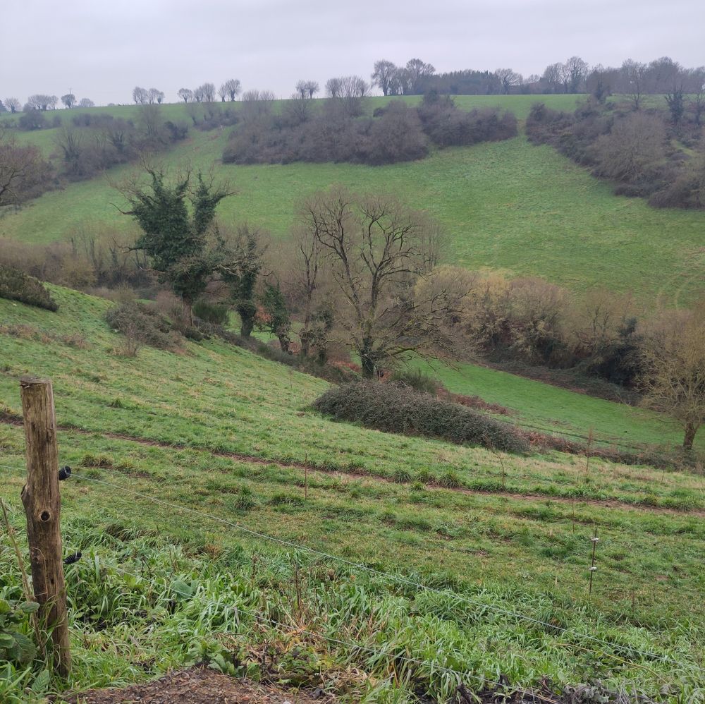 Prairie de l'ENS des coteaux de la Champenière (photo LPO Anjou)